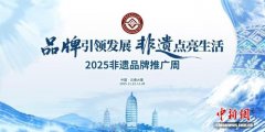2025年非物质文化遗产保护工作